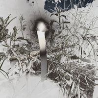 Glass Egg - visions & ecstasies