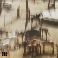 Dijon - WILD