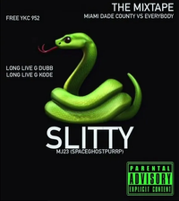 SpaceGhostPurrp - Slitty