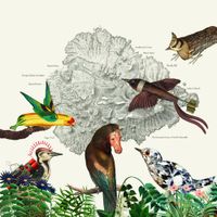 Friendly Rich - The Birds of Marsville