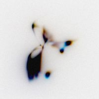 Niels Orens - slow night/s