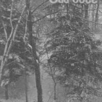 Mount Shrine - Winter Pathways