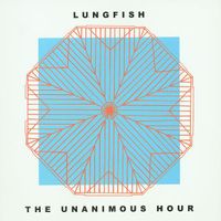 Lungfish - The Unanimous Hour