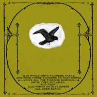 Thee Silver Mt. Zion Memorial Orchestra - Horses in the Sky