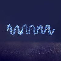 Various Artists - Macrofunk
