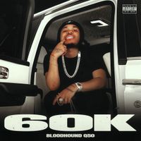 BloodHound Q50 - 60K
