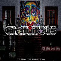 Gratuitous - Live From The Living Room