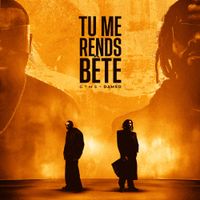 GIMS - TU ME RENDS BETE