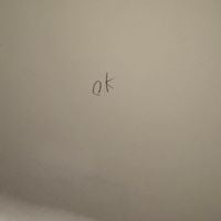 The 365 Project - 236: Ok