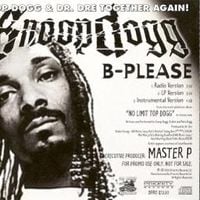 Snoop Dogg - Bitch Please