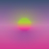 Kunzite - BIRDS DON'T FLY
