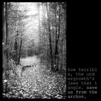 Save Us From The Archon - How Terrible, the Undergrowth's Jaws That Tangle