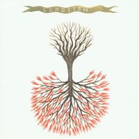 Lungfish - Love is Love