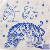 Doly Flackko - Amor Tigre