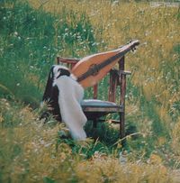 Lily - Dulcimer