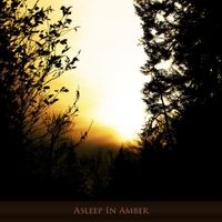 Hilyard - Asleep in Amber