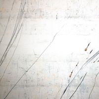 Stephen Vitiello & Taylor Deupree - Fridman Variations