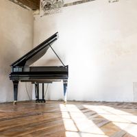 Simon Whetham - Watering the Piano