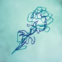 Birney-Willen - Two Flowers