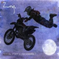 Zorge - Что мы знаем о равновесии?