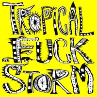 Tropical Fuck Storm - The Planet of Straw Men