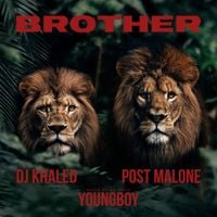 DJ Khaled - Brother