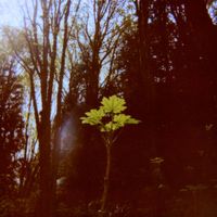Beno&icirc;t Pioulard - Stanza III