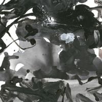板橋文夫 [Fumio Itabashi] - Watarase