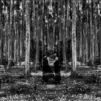 Löri - OBTUSION//AVERSION