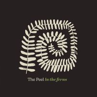 The Peel - In the Ferns