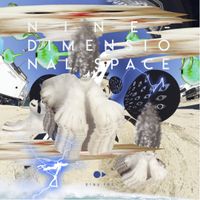 Various Artists - Nine​-​dimensional space