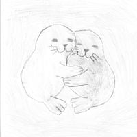 Shivering Fox - it's all gone now
