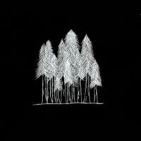 Aftertheparty - woods
