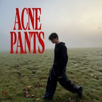 neji.mp3 - acne pants