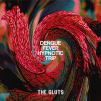 The Gluts - Dengue Fever Hypnotic Trip
