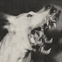 Ciśnienie - [angry noises]