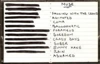 Muse - Newton Abbot Demo