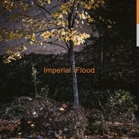 Logos - Imperial Flood