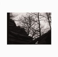 Hypothermia - Kaffe & Blod
