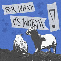 imnotvrycreative - FOR WHAT ITS WORTH