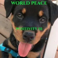 World Peace Jesus - Positivity III