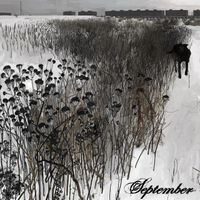 septemberistheonlytimeidontthinkofyou - by the wings of a tragedy