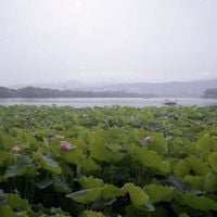 Celer - You and I Can't Ever Change (Expanded)