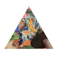 Modest Mouse - Poison The Well