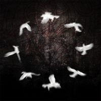 A Circle of Crows - A Circle of Crows