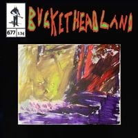 Buckethead - Twisted In Cosmos Cries