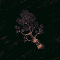 Pine Barons - Little Spain