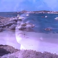 from tokyo to honolulu - 楽園の喜び [The Joy of Paradise]
