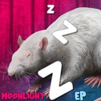 Moonlight - ZZZ