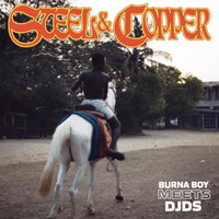 Burna Boy X DJDS - Steel & Copper